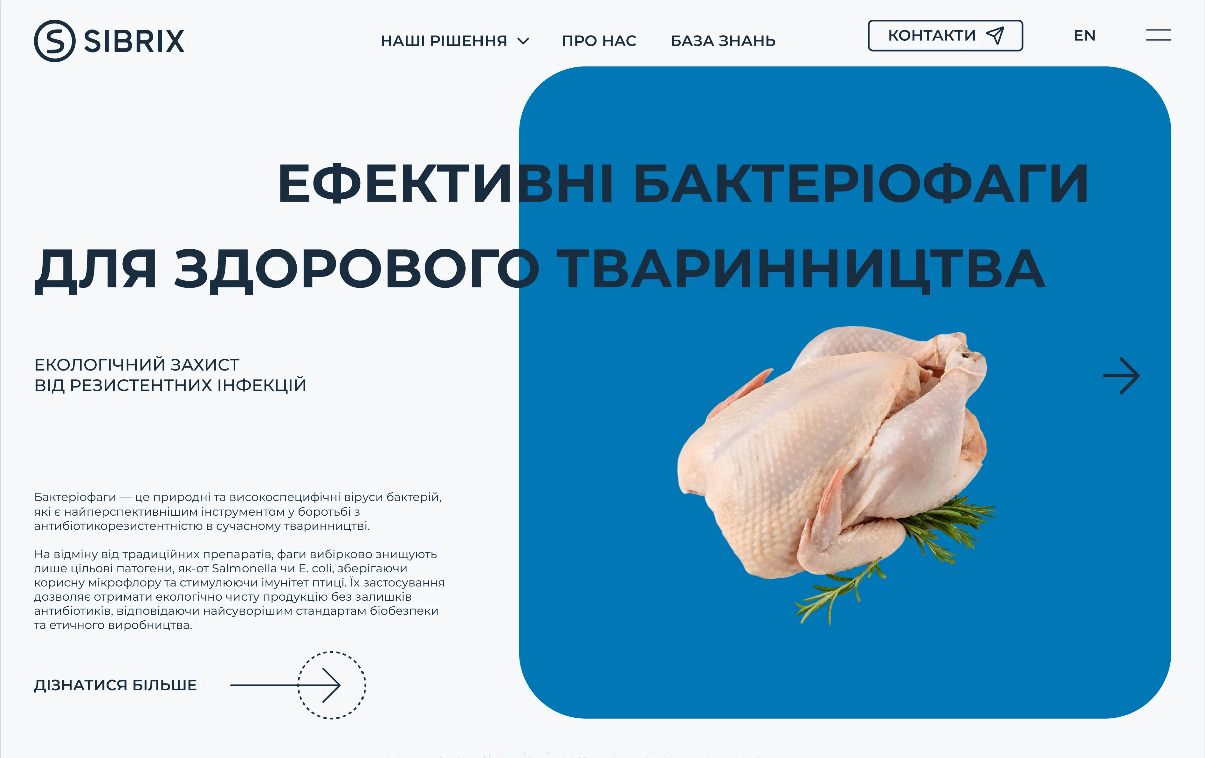 Sibrix — Bold Aesthetics for Deep Science
